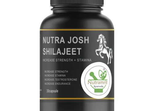 Shilajeet